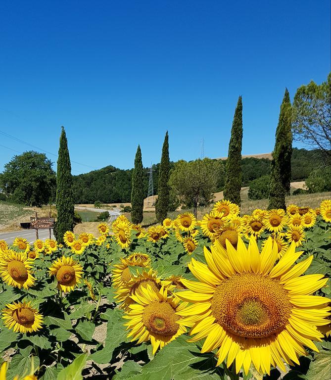 Agriturismo Il Catrino Ponteginori Exterior foto